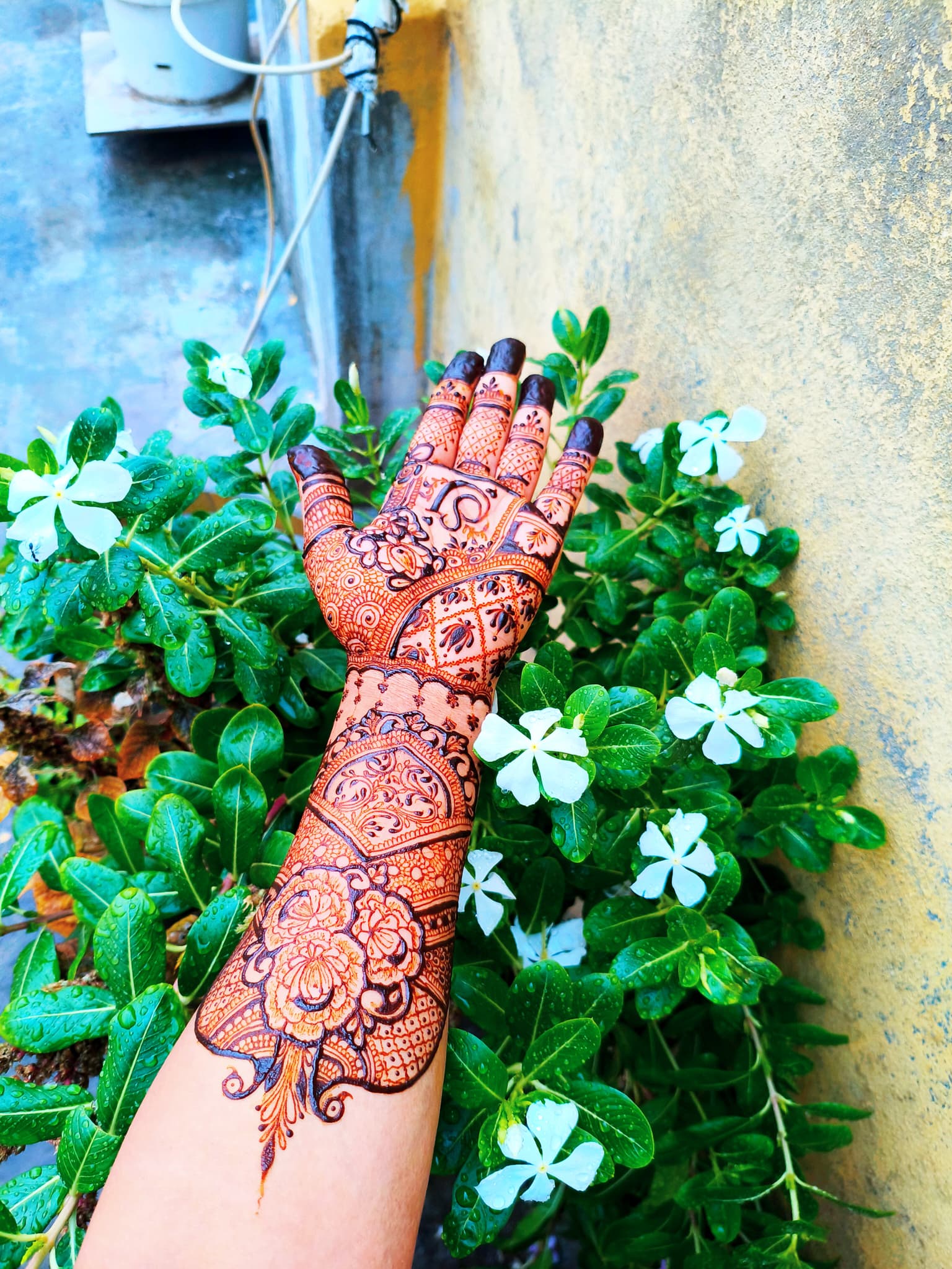 Jayasri mahendi artist