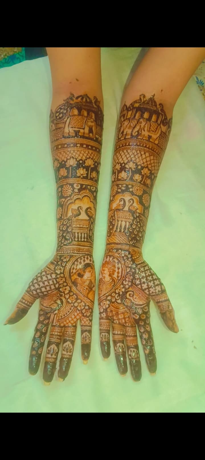 Shirin Shaikh